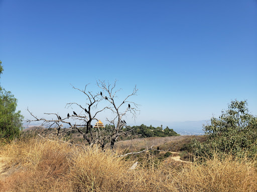 Hiking Area «Whittier Turnbull Canyon Hiking Trail», reviews and photos, Turnbull Canyon Rd, Whittier, CA 90601, USA