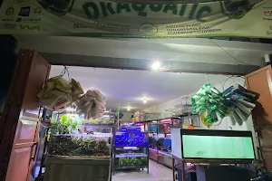 Aquascape draquatic duren jaya image