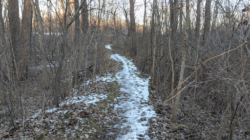 Nature Preserve «Burns-Stokes Preserve», reviews and photos, Zeeb Rd, Dexter, MI 48130, USA