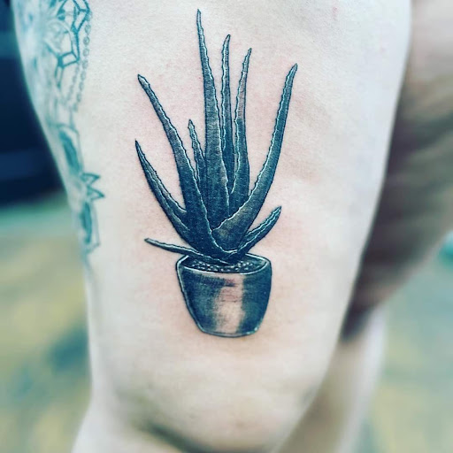 Find sexy tattoo ideas for your next unique tattoo in Warren at Aces Tattoo & Body Piercing