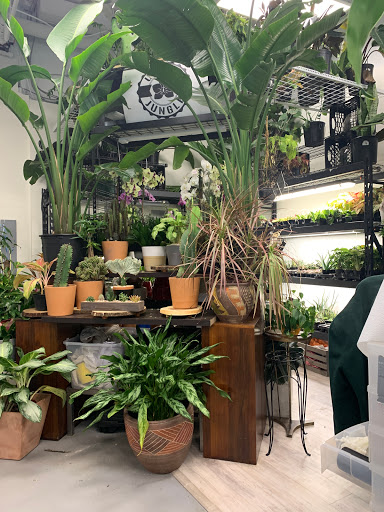 Wholesale Florist «Urban Jungle», reviews and photos, 2603 Sherman Ave NW, Washington, DC 20001, USA