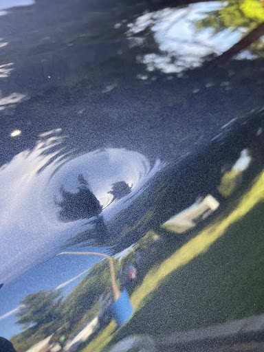 Superior Paintless Dent Removal Inc image
