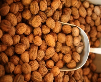 Produce Market «B&P Hitz Fruit Farm (Apples N Produce)», reviews and photos, 14070 Wilco Hwy NE, Woodburn, OR 97071, USA