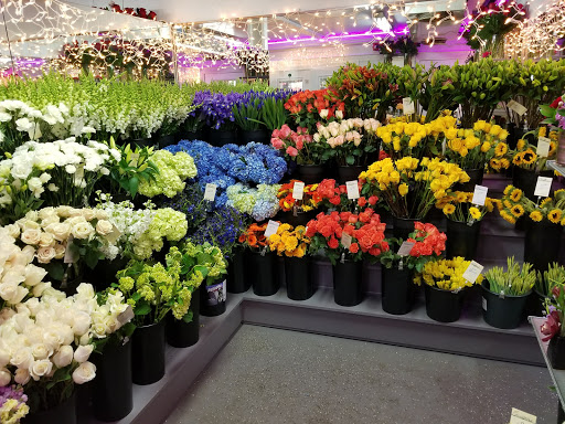 Florist «The Frugal Flower», reviews and photos, 736 Boston Post Rd, Sudbury, MA 01776, USA