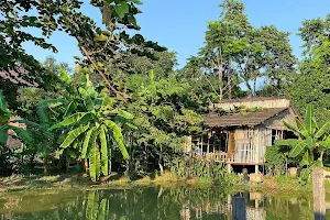 สวนชีววิถี (Growing Diversity Park) image