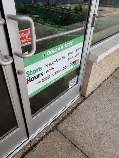 Dollar Store «Dollar Tree», reviews and photos, 3103 111th St #115, Naperville, IL 60564, USA