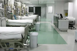 Dadhich Hospital image