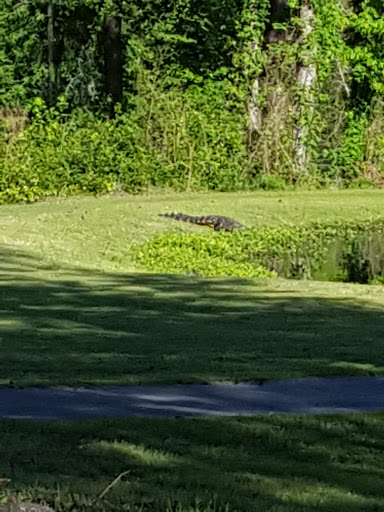 Golf Course «Riverview Park Golf Course», reviews and photos, 100 Riverview Park Dr, Dublin, GA 31021, USA