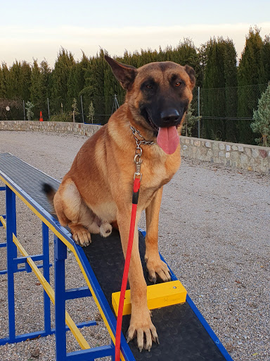 Centro Canino Delagos