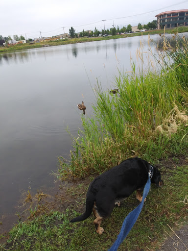 Park «Freylands Park», reviews and photos, Wales St SE & Van Ave SE, Monroe, WA 98272, USA