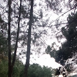 Photo n°3 de l'avis de Maria.o fait le 03/02/2024 à 15:58 sur le  Tasquinha do Mário à Sernancelhe