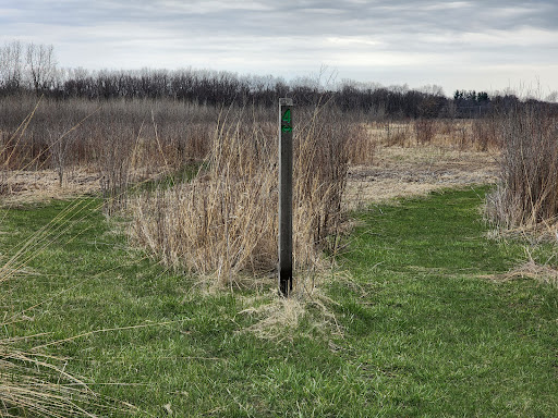 Arrowhead Marsh