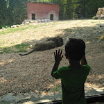 Photo n°2 de l'avis de Samuele.o fait le 31/07/2018 à 14:51 sur le  Parco Zoo Falconara Srl à Falconara Marittima