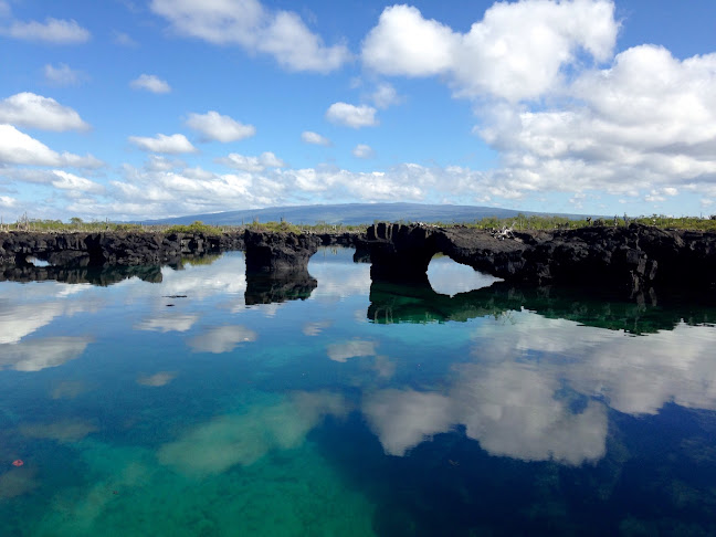 Seven Tours, Isla Isabella - Puerto Villamil