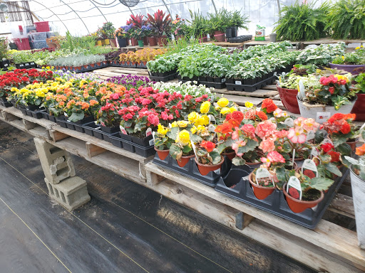 Garden Center «Beachside Gardens & Gifts», reviews and photos, 3725 US-12, Michigan City, IN 46360, USA