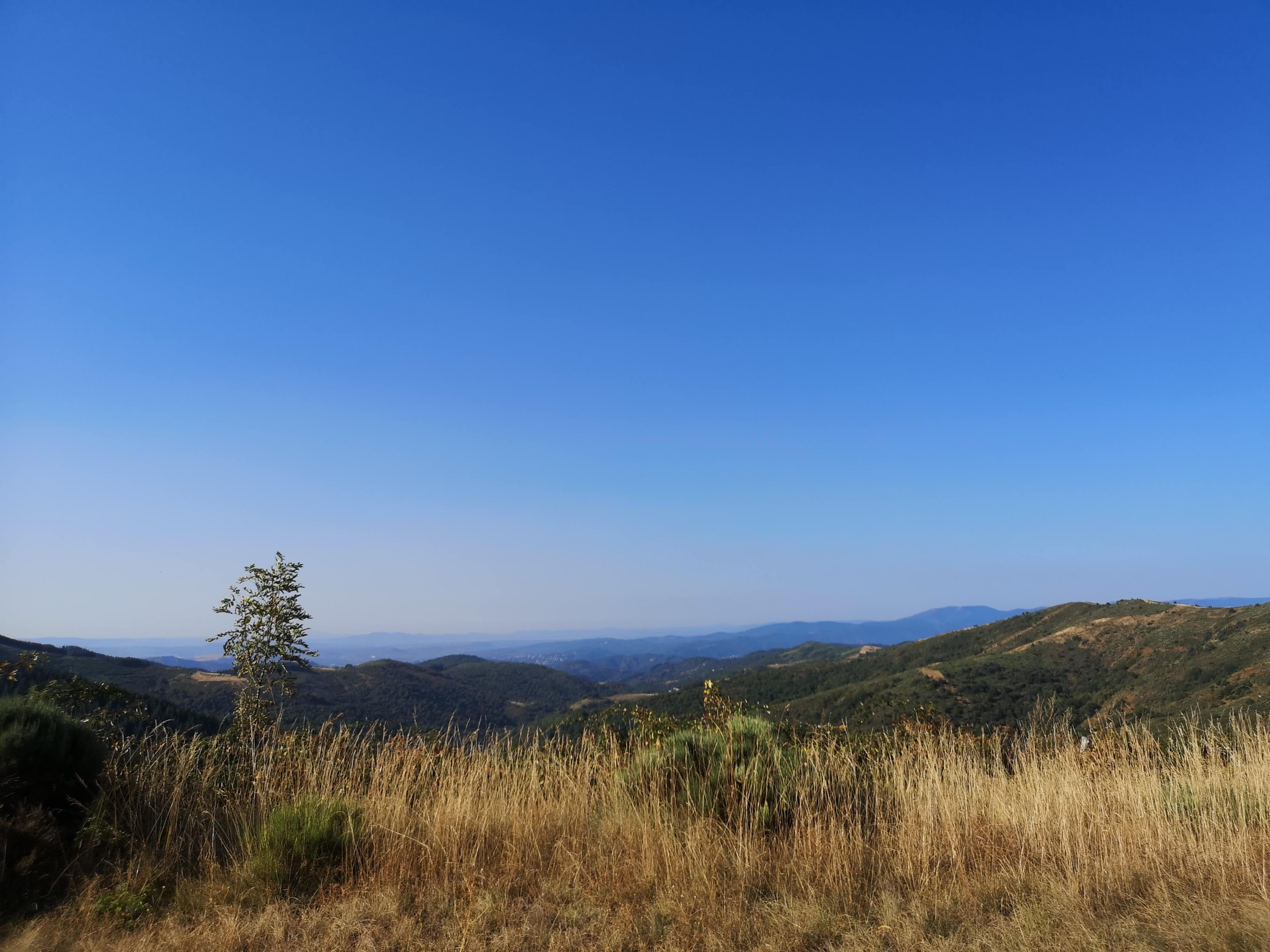 Photo n° 10 de l'avis de Chrisc.c fait le 27/08/2023 à 06:38