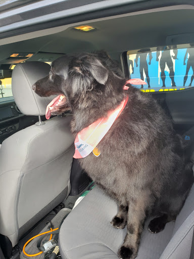 Pet Supply Store «PetSmart», reviews and photos, 4550 W Lake Mary Blvd, Lake Mary, FL 32746, USA