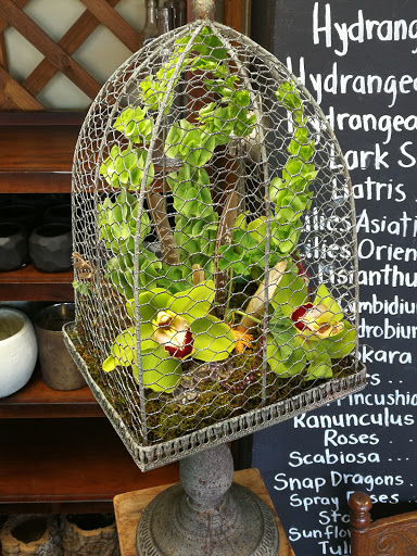 Florist «Galleria Florist», reviews and photos, 7187 Lee Hwy, Falls Church, VA 22046, USA