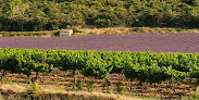 Les vignerons Valléon Loriol-sur-Drôme