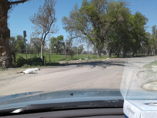 Public Golf Course «Paradise Knolls Golf Course», reviews and photos, 9330 Limonite Ave, Riverside, CA 92509, USA