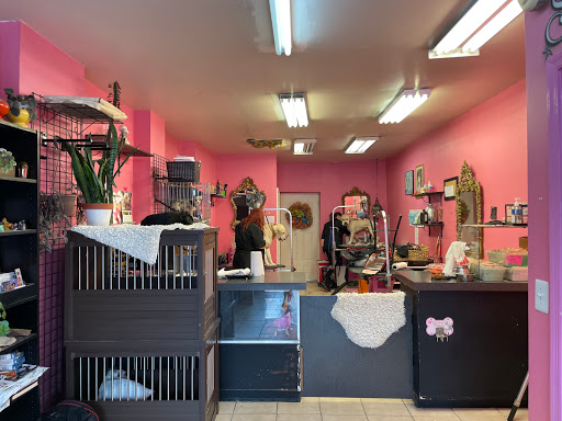 Spot's Spot Pet Grooming