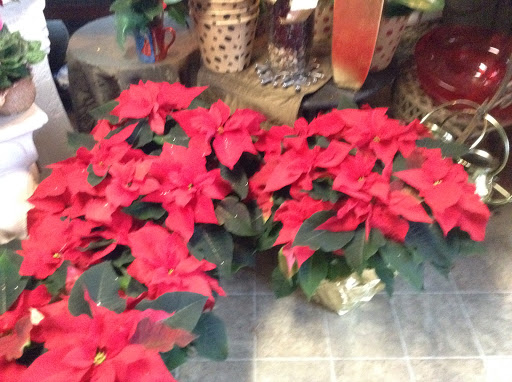 Florist «V.S.Flowers», reviews and photos, 2914 Blue Star Hwy, Douglas, MI 49406, USA