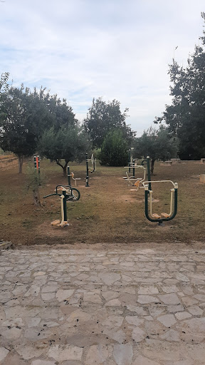 Parque Gimnasio en Almoines, Valencia