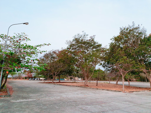 Top 20 cửa hàng tâm house Huyện Cần Giờ Hồ Chí Minh 2022
