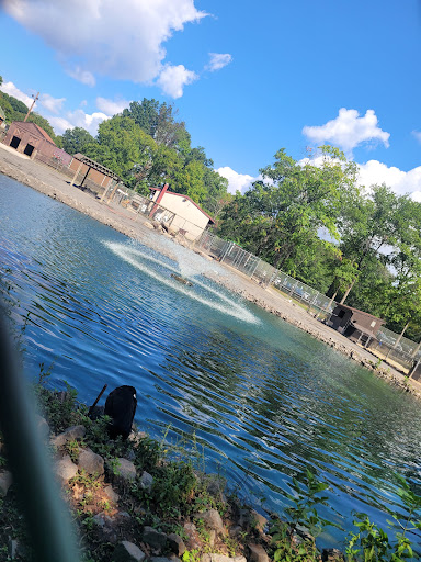 Park «Merrill Park», reviews and photos, Fairview Ave, Colonia, NJ 07067, USA