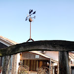 Photo n°12 de l'avis de Andrea.' fait le 11/02/2018 à 21:49 sur le  Azienda Agrituristica Al Vecio Moraro à Mogliano Veneto