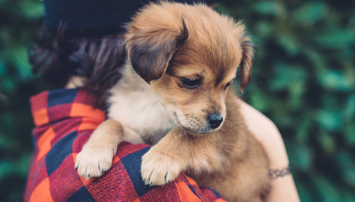 1057 Doddridge St, Corpus Christi, TX 78411, USA