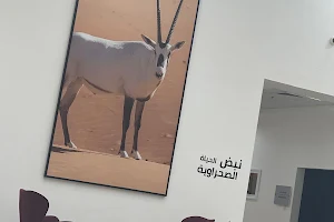 Al Dhaid Wildlife Centre image
