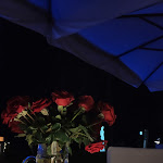 Photo n°4 de l'avis de Loris.t fait le 09/10/2021 à 15:46 sur le  Fiume Stella à Precenicco