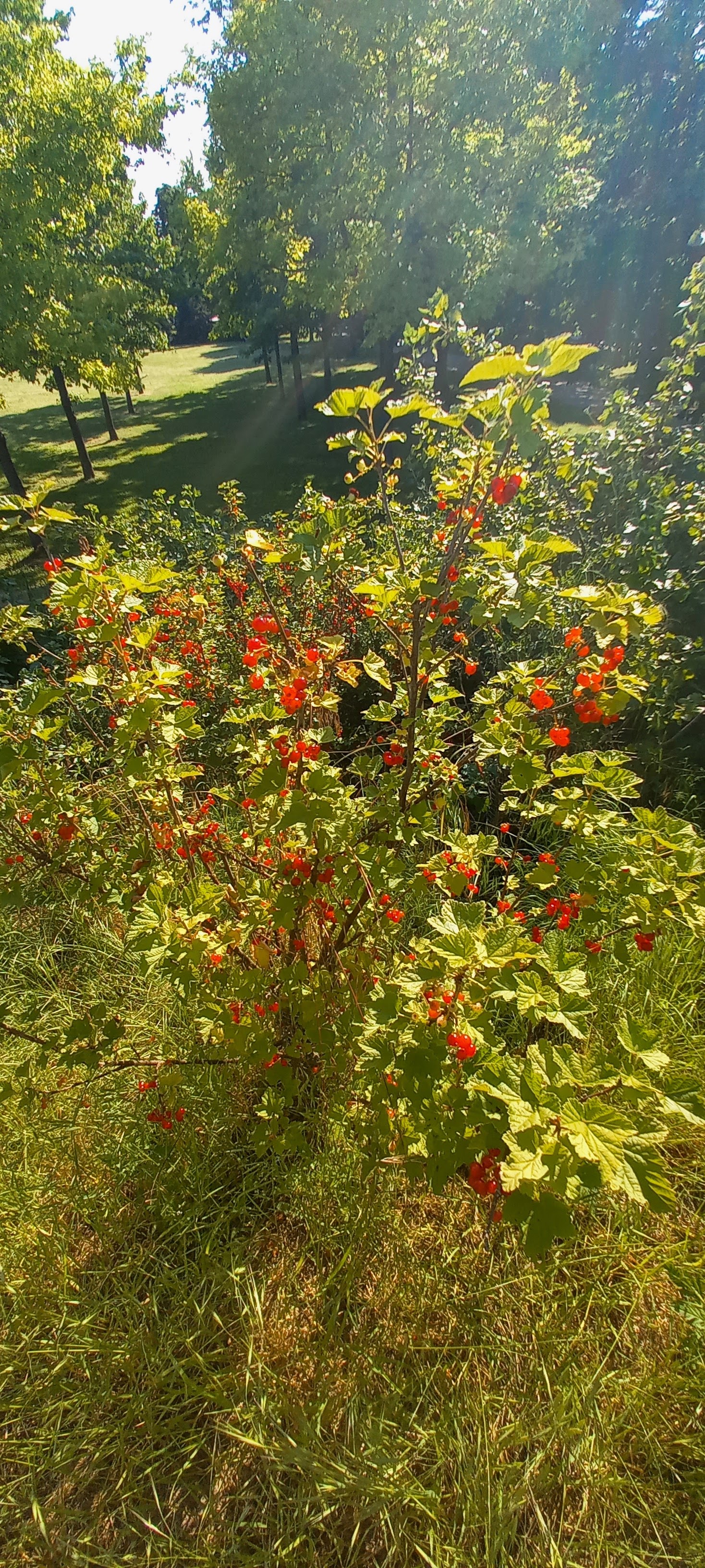 Photo n° 2 de l'avis de Martine.e fait le 15/06/2021 à 17:49