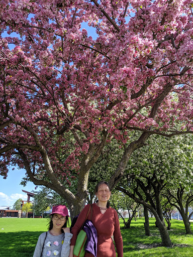 Science Museum «Discovery World», reviews and photos, 500 N Harbor Dr, Milwaukee, WI 53202, USA