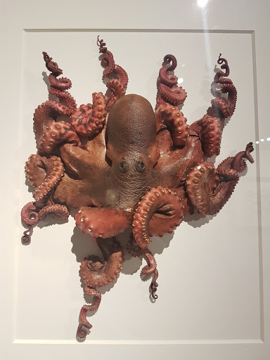 Event Venue «Gallery of Amazing Things», reviews and photos, 481 S Federal Hwy, Dania Beach, FL 33004, USA