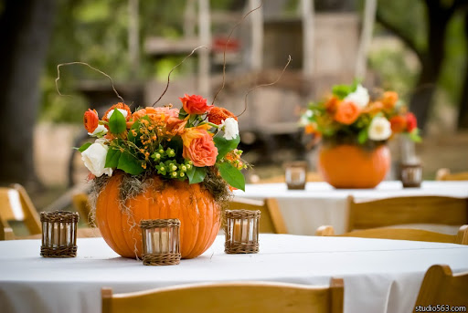 Wedding Venue «Old Glory Ranch», reviews and photos, 3633 River Rd, Wimberley, TX 78676, USA