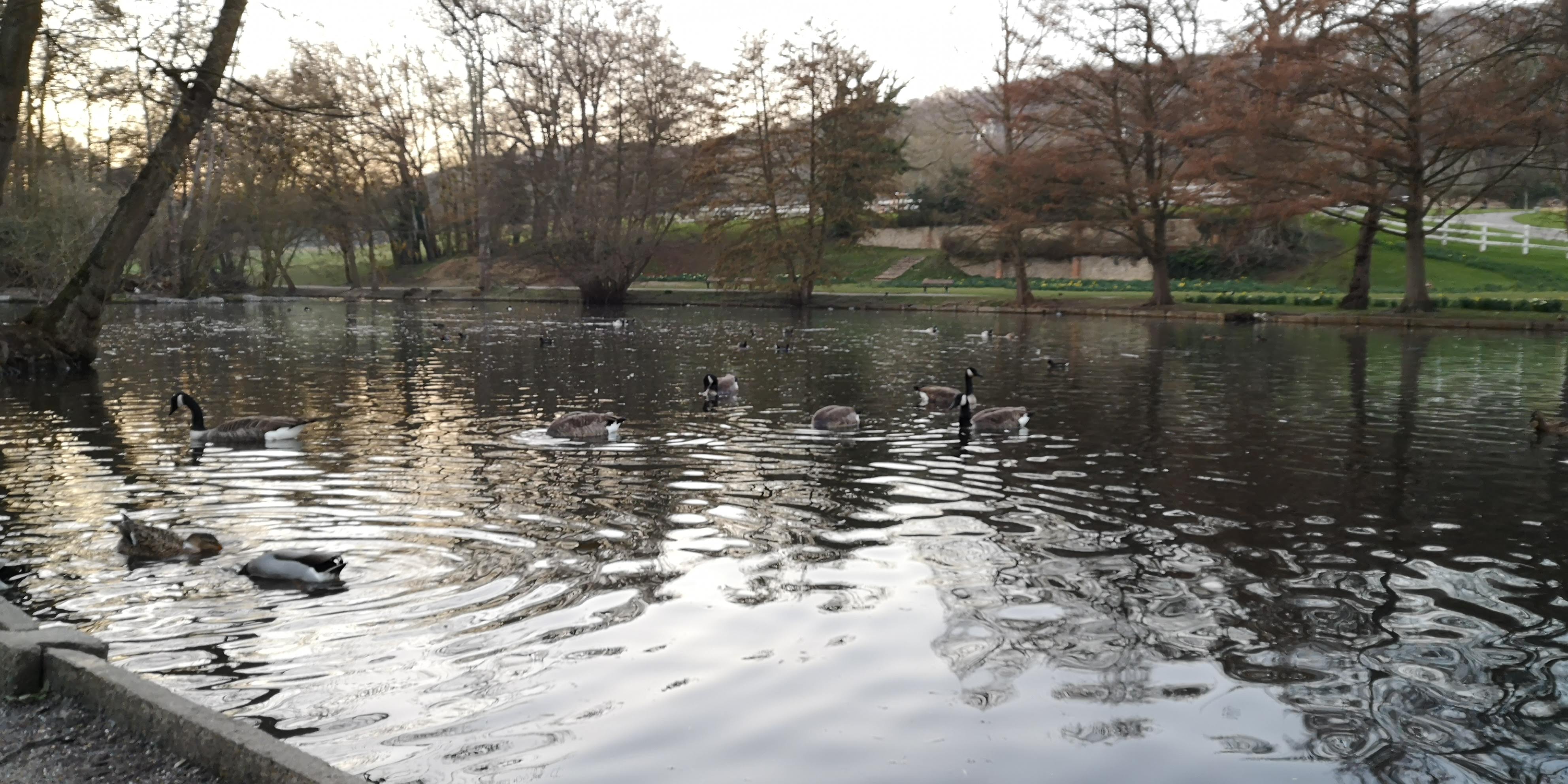 Photo n° 1 de l'avis de Farid.n fait le 28/02/2019 à 16:06