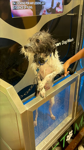 Pet Store «Choice Pet Market», reviews and photos, 20028 N 67th Ave, Glendale, AZ 85308, USA