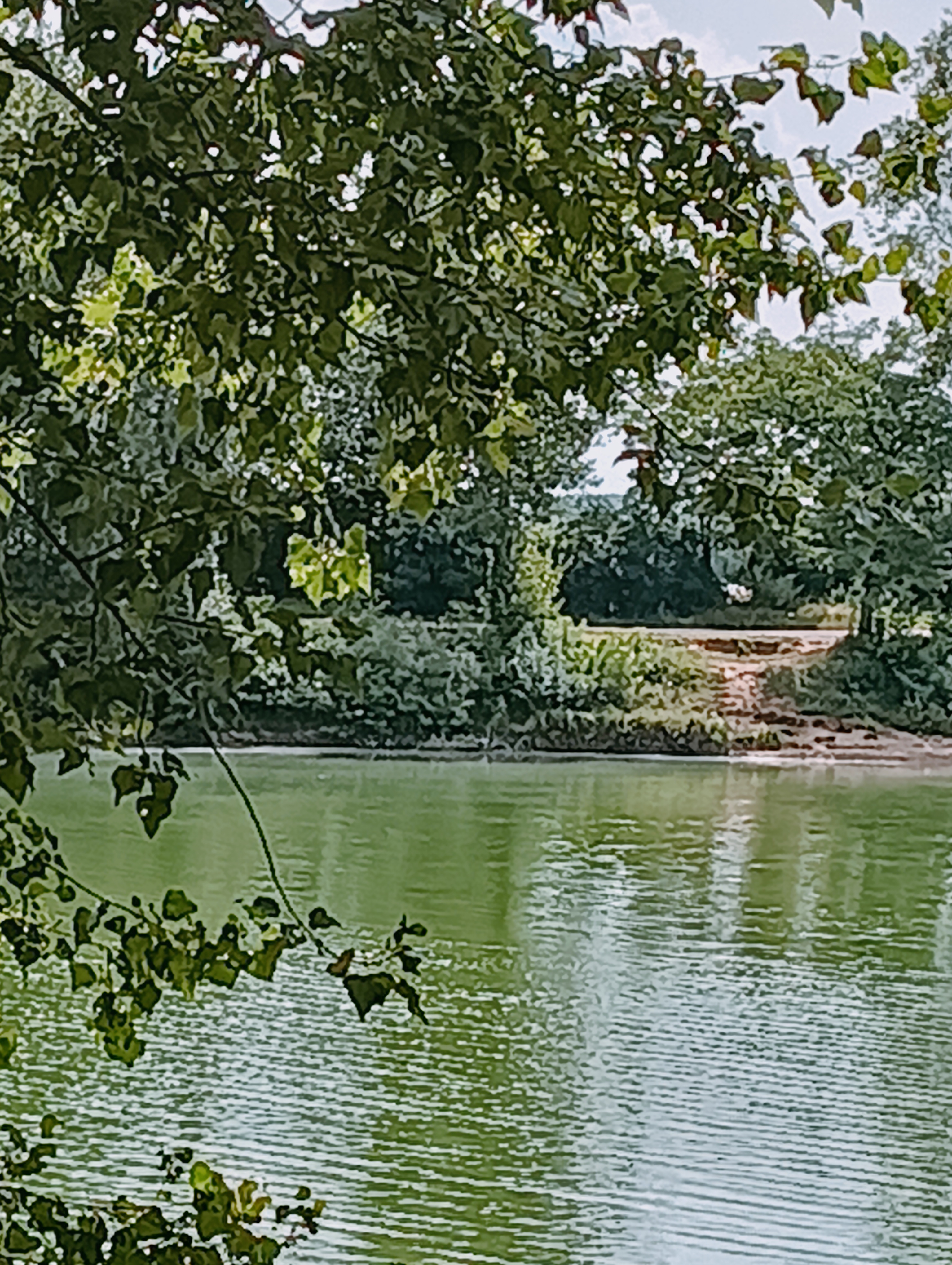 Photo n° 1 de l'avis de aixa.o fait le 28/07/2023 à 10:29