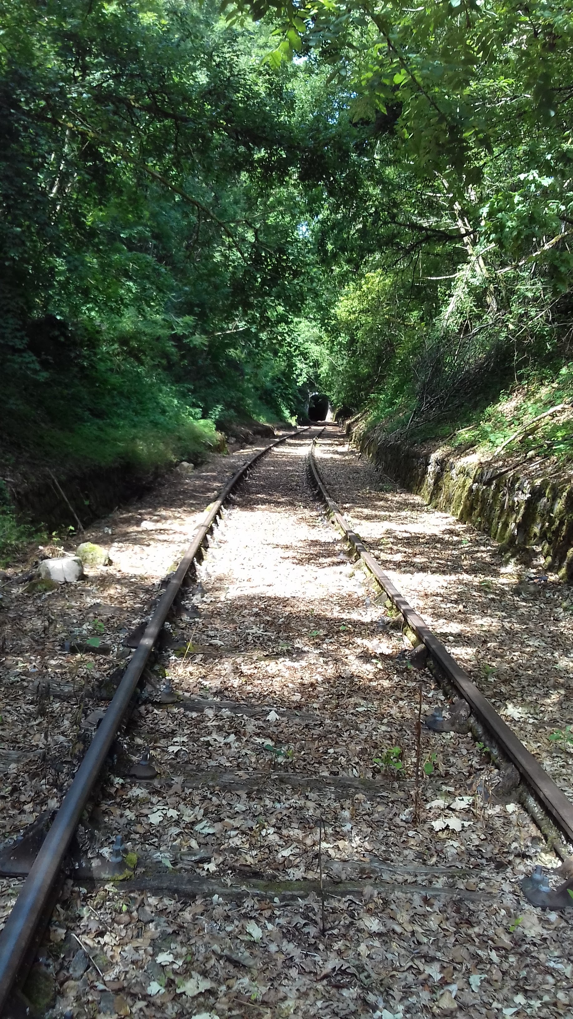 Photo n° 5 de l'avis de bernard.e fait le 05/08/2019 à 10:18