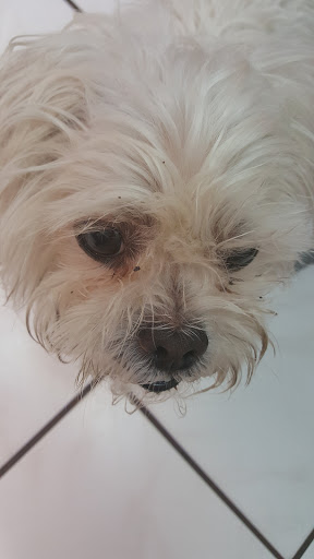 11321 Big Bend Rd, Riverview, FL 33579, USA