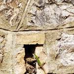 Photo n°5 de l'avis de Marta.i fait le 02/04/2023 à 19:36 sur le  Casciana terme à Casciana Terme Lari