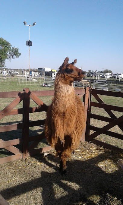 Expo Granja La Carlota