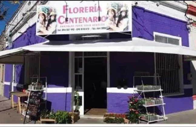 Floreria Centenario