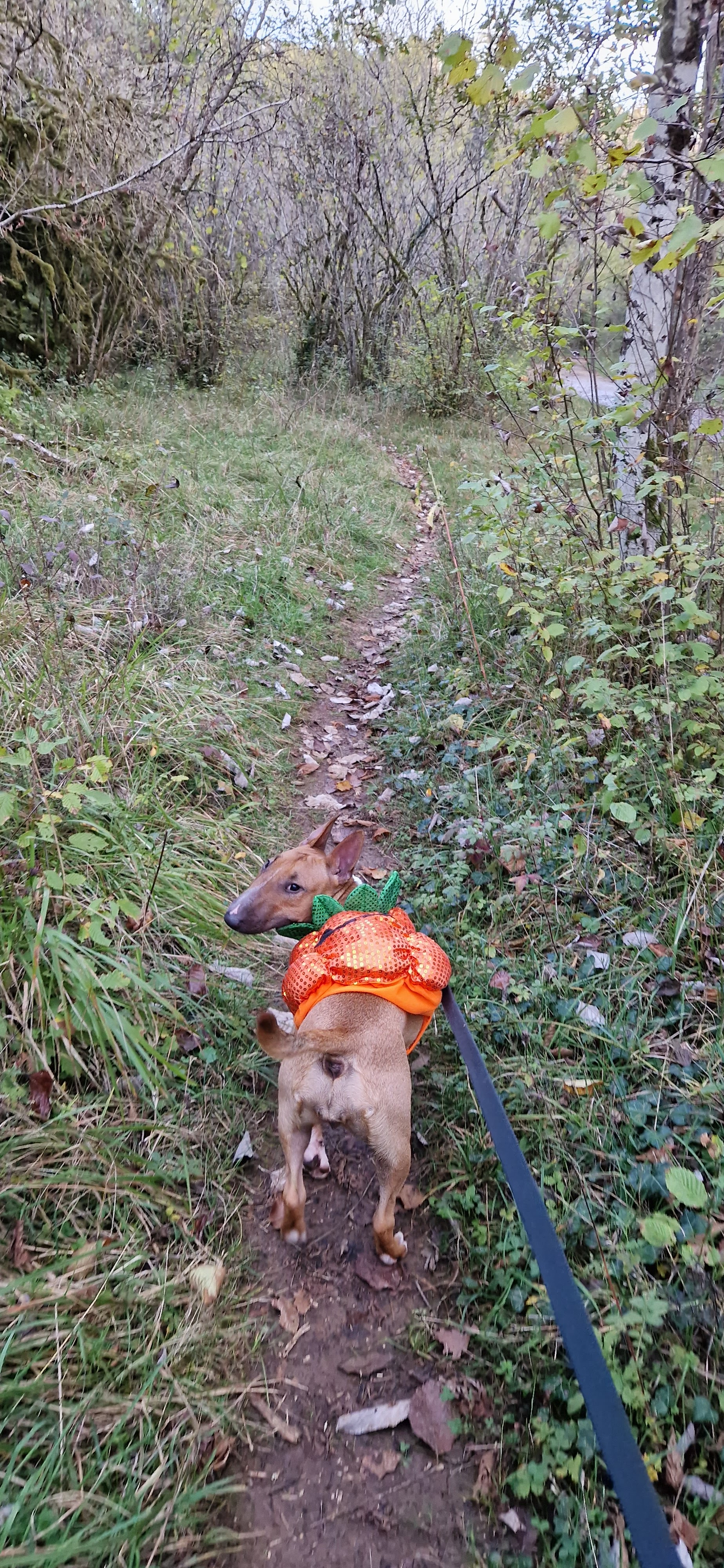 Photo n° 4 de l'avis de Les.0 fait le 23/11/2022 à 07:53