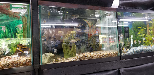 Tropical Fish Store «Two Turtles Pet Center», reviews and photos, 760 W Market St, Akron, OH 44303, USA