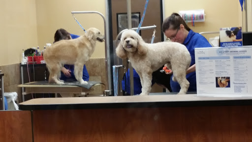 Pet Supply Store «PetSmart», reviews and photos, 421 Commerce Dr, Victor, NY 14564, USA