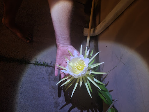 Lihue Veterinary Hospital image