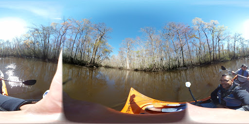 National Forest «Francis Marion National Forest», reviews and photos, 2967 Steed Creek Rd, Huger, SC 29450, USA